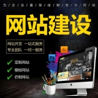 专业网站建设团队，二十年网站开发经验