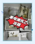 三亚清洗冰箱，冰箱藏污纳垢？别让“保鲜箱”变“细菌箱”！