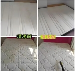 三亚床垫清洗，每天睡的床垫，藏着万只螨虫？是时候给它“洗澡”