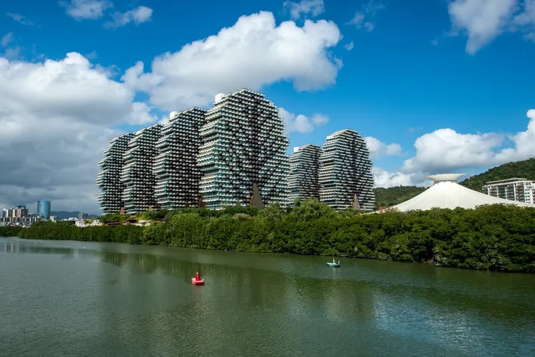 美丽之冠（大树公馆）小区图